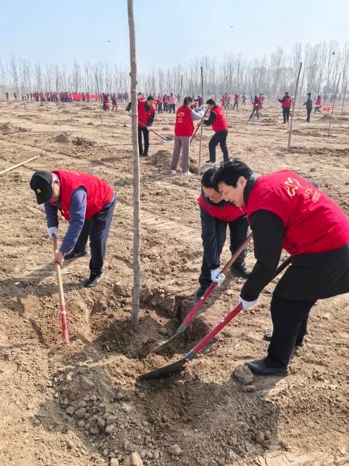 省商务厅开展“活力商务植新绿 同心守护母亲河”义务植树活动